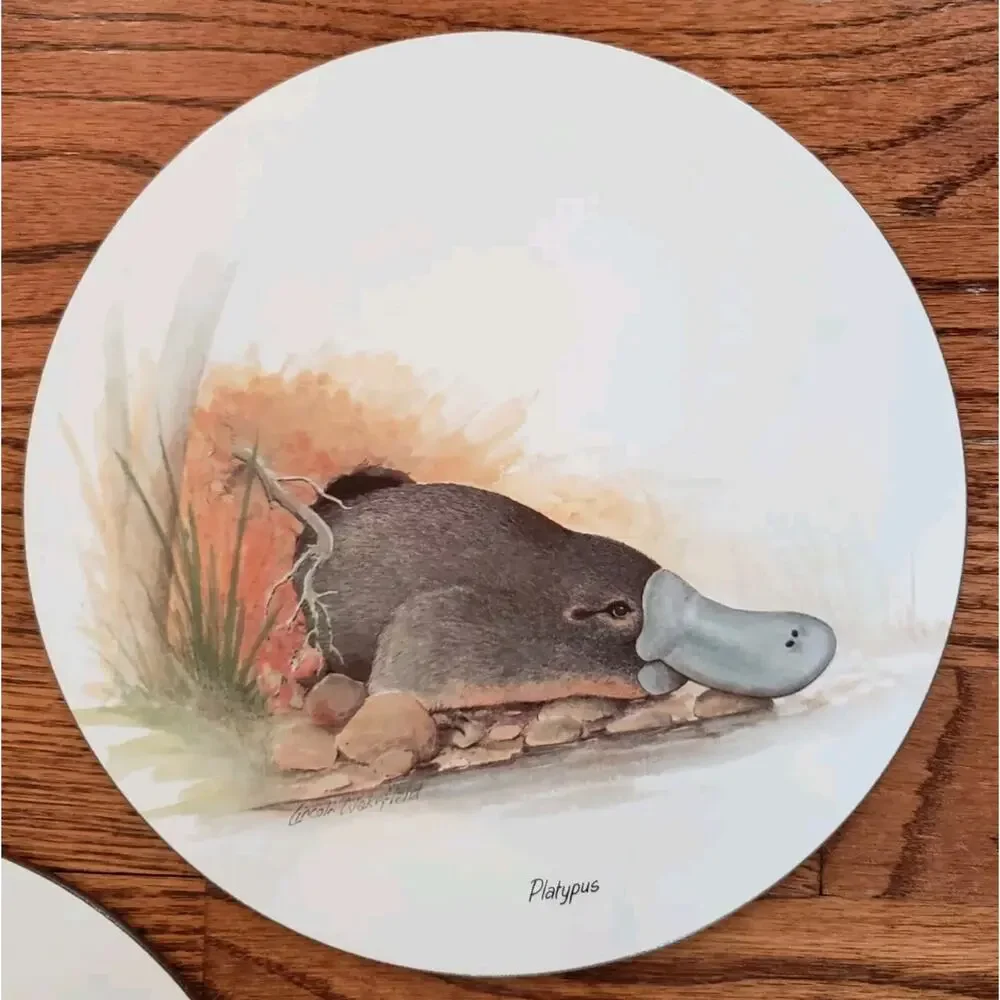 Set of 6 Jason Round Placemats Australian Animals Wakefield Cork Backed w/‎ Box